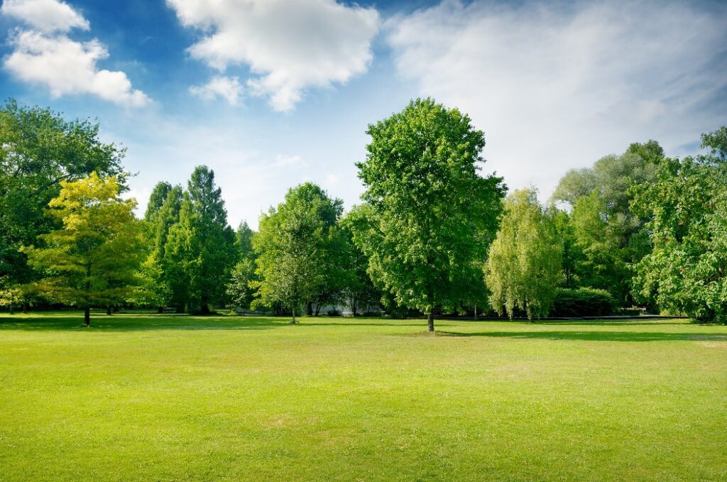 Eine malerische grüne Lichtung im Stadtpark. Grünes Gras und Bäume.